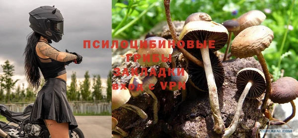 скорость Сосновый Бор