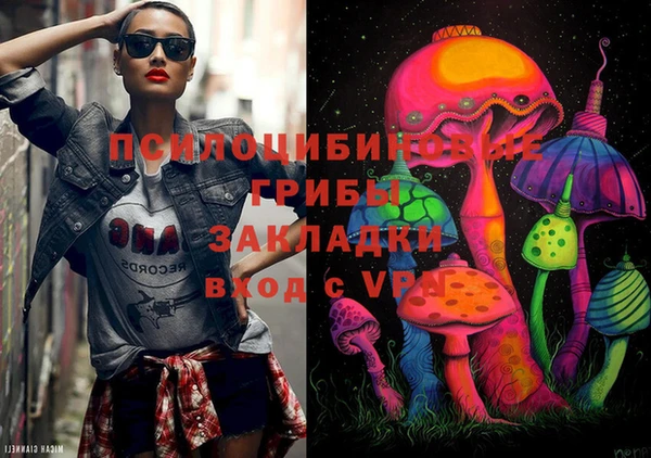 скорость Сосновый Бор