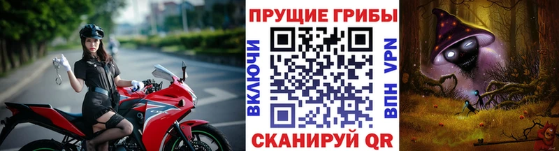 Галлюциногенные грибы MAGIC MUSHROOMS  ОМГ ОМГ онион  Темников  это клад  купить  