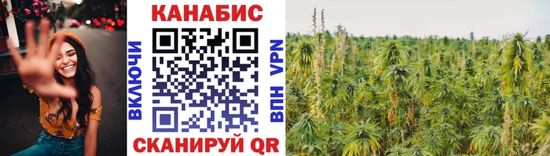 Марихуана THC 21%  Темников 